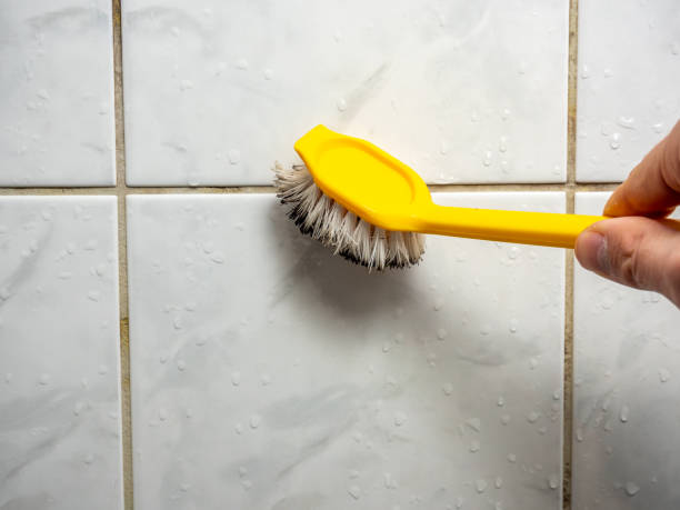 Best Office Mold Removal Services  in Mora, MN