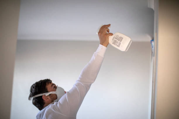 Best Fast Mold Removal  in Mora, MN