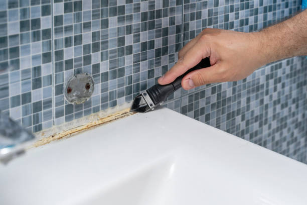 Best Local Mold Removal Service  in Mora, MN