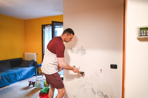 Mold Testing and Removal in Mora, MN